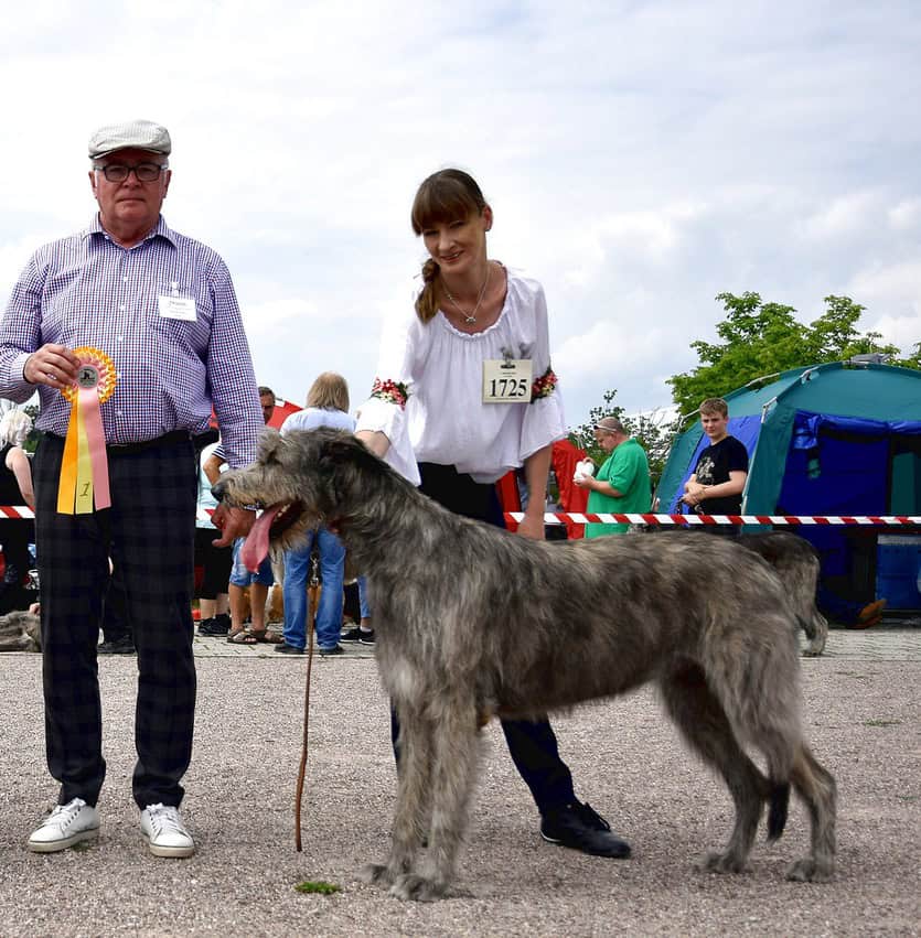 Nationale Rassehunde-Ausstellung Erfurt 2018
