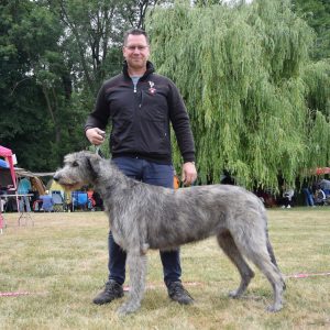 4. Nationale VDH-Ausstellung Meisdorf
