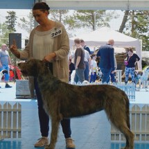 DSC00450_klein DSC00450_klein