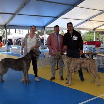 DSC_0078_klein DSC_0078_klein