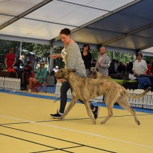 DSC_0284_klein DSC_0284_klein