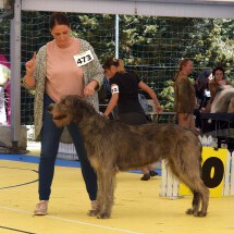 DSC_9902_klein DSC_9902_klein