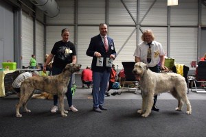 Nationale VDH Ausstellung Erfurt 2019