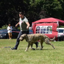DSC_2607_cr DSC_2607_cr