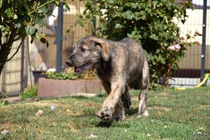 2019-08-10_DSC_4281