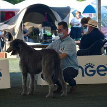 DSC_3094_cr DSC_3094_cr