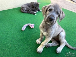 2021-05-17_Beaufort1