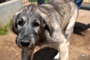 2021-05-28_Beaufort4