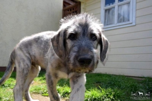 2021-05-28_Beaufort5