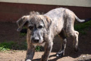 2021-05-28_Bernadett1