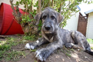 2021-05-28_Bernadett2