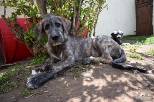 2021-05-28_Bernadett3