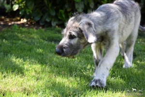 2021-05-30_Beaufort6