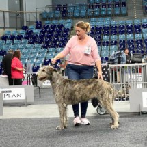 2022-08-09_CACIB_Oldenburg1