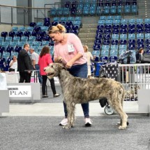 2022-08-09_CACIB_Oldenburg2