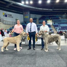 2022-08-09_CACIB_Oldenburg4