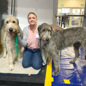 International DogShow Lubin (Polen)