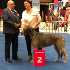 Martinidogshow Groningen (NL)