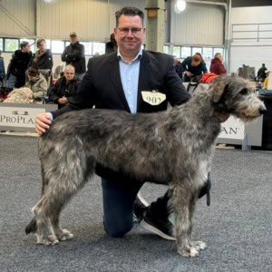 CACIB Lingen 2024