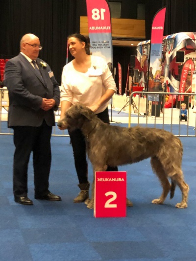 20190303_CACIB_Martinidogshow_Groningen