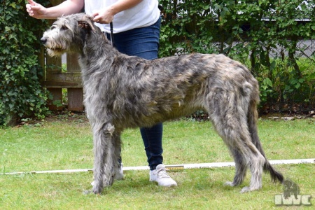 2022-07-31_Bernadett vom Fürstenwall