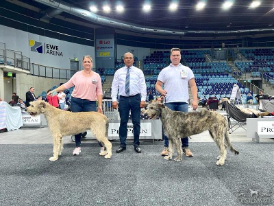 2022-08-09_CACIB_Oldenburg3