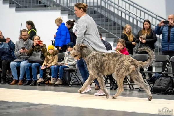 20221105__INU1013_fb