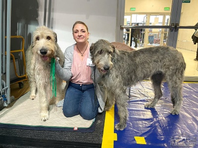 20230122_CACIB_Lubin_IMG_5468