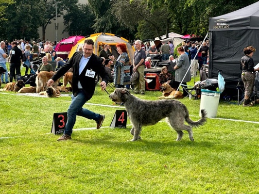 2023090203 CACIB Leipzig#3