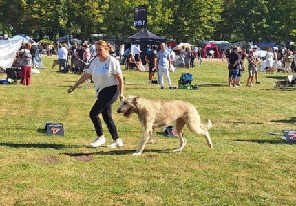 20240907_Eddie_CACIB_Leipzig