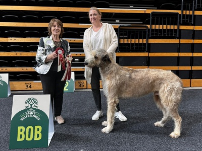 20250801_CACIB-Oldenburg