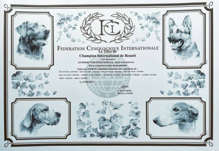 CIB-Annifrid_vom_Fürstenwall-klein1