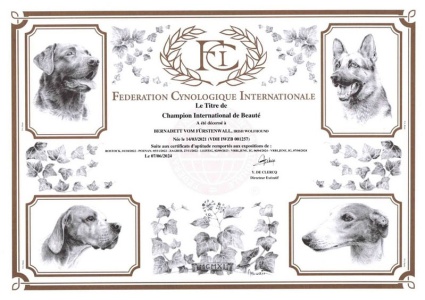 CIB-Bernadett_vom_Fürstenwal_klein